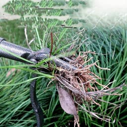 image-Carbon Steel Garden Weeding And Rooting Machine
