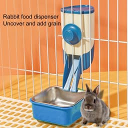 image-Rabbit Bowl Pet Feeding Kit Feeder