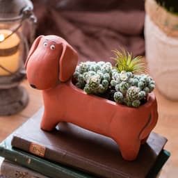 image-Fashion Personality Cute Pet And Animal Flowerpot