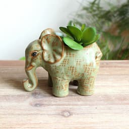 image-Ceramic Glaze Kiln Succulent Flower Pot