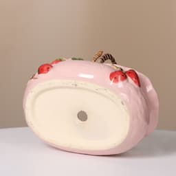 image-Creative Color Painted Strawberry Large And Small Diameter Succulent Flower Pot
