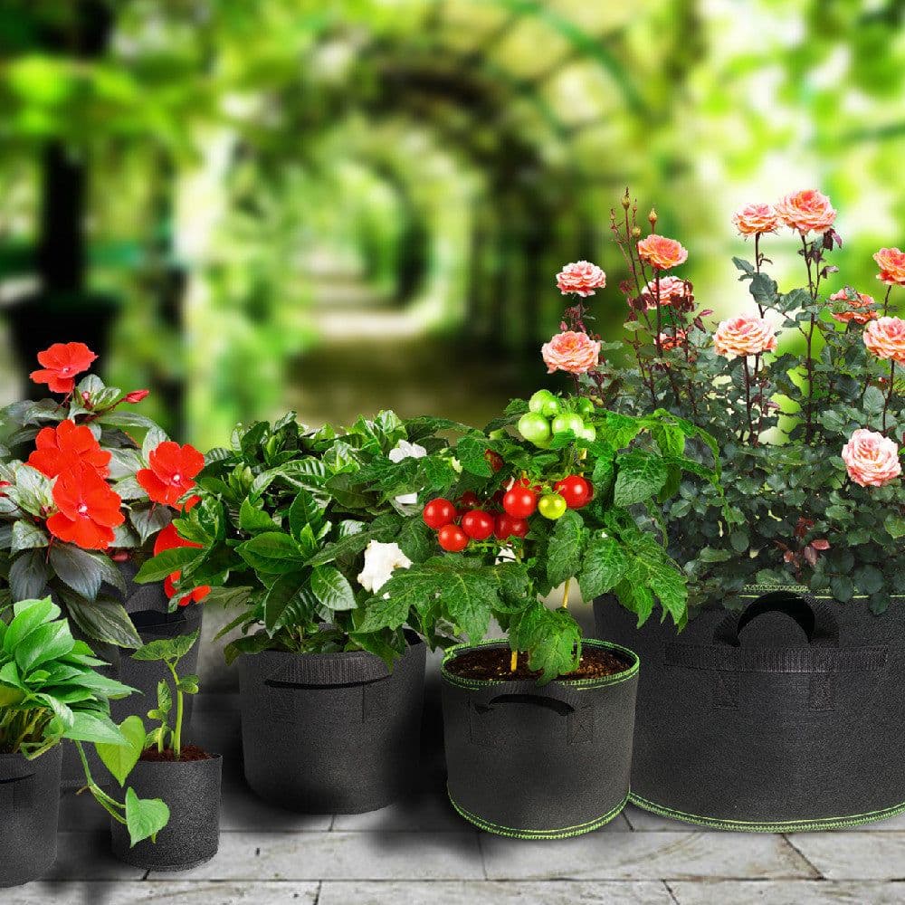 image-Planting Sack Black Non-woven Seedling Flower Pot
