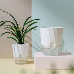 image-Lazy Green Dill Plant Automatic Water Feeding Small Flower Pot