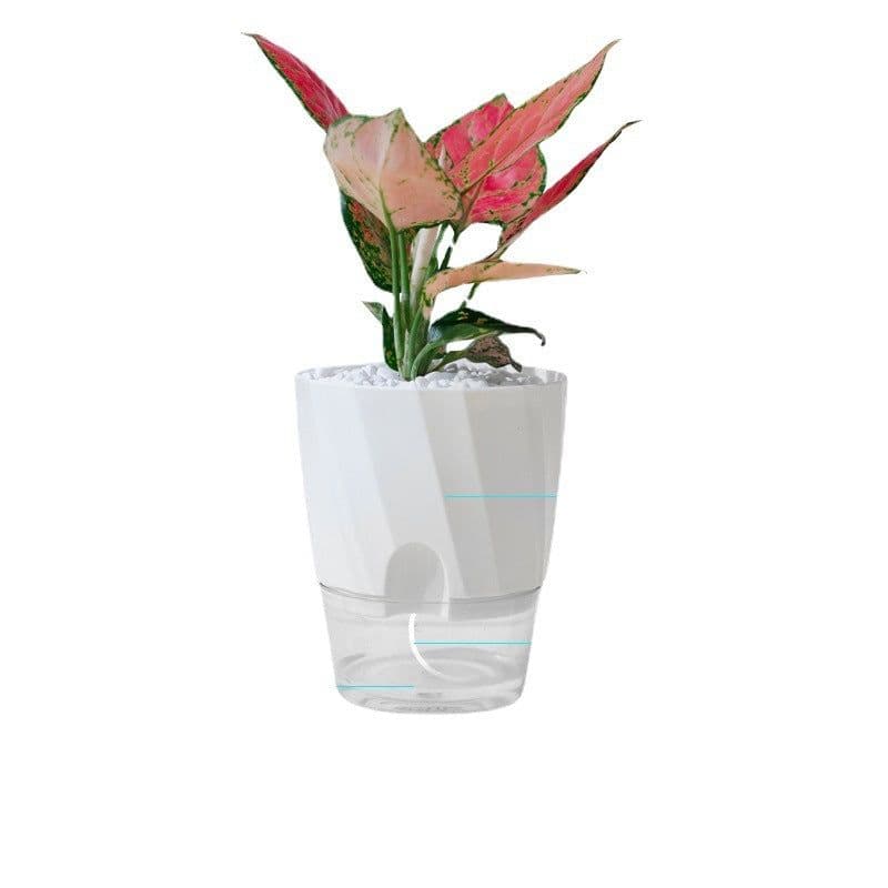image-Lazy Green Dill Plant Automatic Water Feeding Small Flower Pot