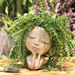image-Resin Container For Succulent Plant Flowerpots