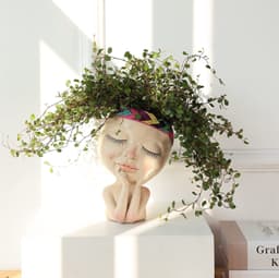 image-Resin Container For Succulent Plant Flowerpots