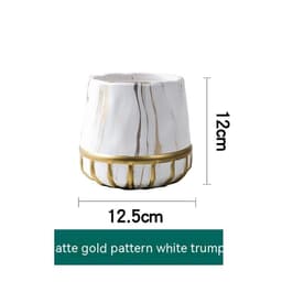 image-Succulent Flower Pot Golden Edge Home Decoration Wind Marbling Gift Ceramic