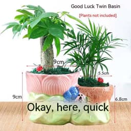 image-Succulent Bonsai Braised Purple Sand Simple Small Flower Pot