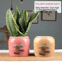 image-Succulent Bonsai Braised Purple Sand Simple Small Flower Pot