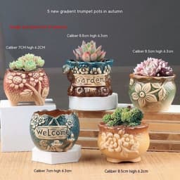 image-Succulent Bonsai Braised Purple Sand Simple Small Flower Pot