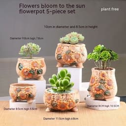 image-Succulent Bonsai Braised Purple Sand Simple Small Flower Pot
