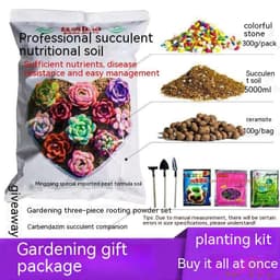 image-Succulent Bonsai Braised Purple Sand Simple Small Flower Pot