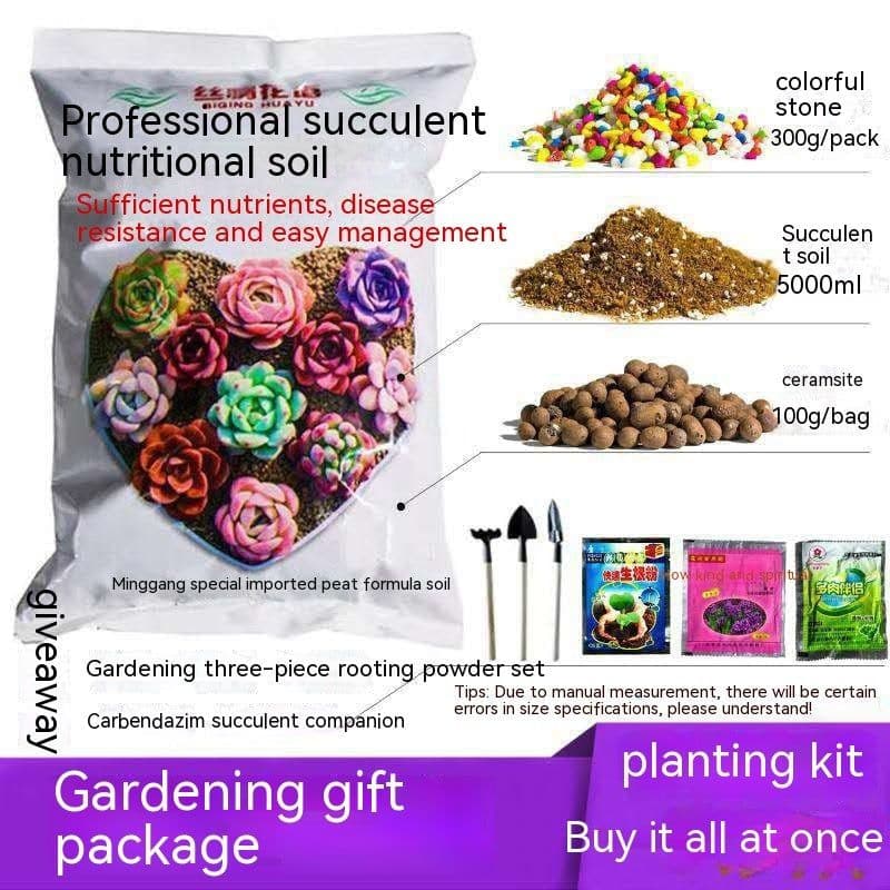 image-Succulent Bonsai Braised Purple Sand Simple Small Flower Pot