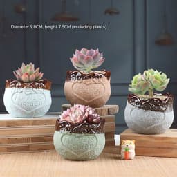 image-Succulent Bonsai Braised Purple Sand Simple Small Flower Pot