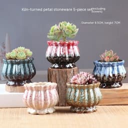 image-Succulent Bonsai Braised Purple Sand Simple Small Flower Pot