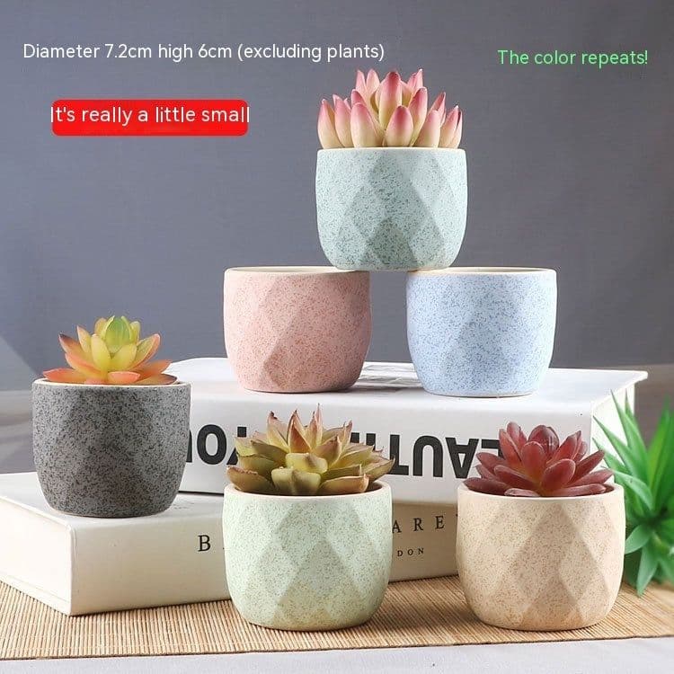 image-Succulent Bonsai Braised Purple Sand Simple Small Flower Pot