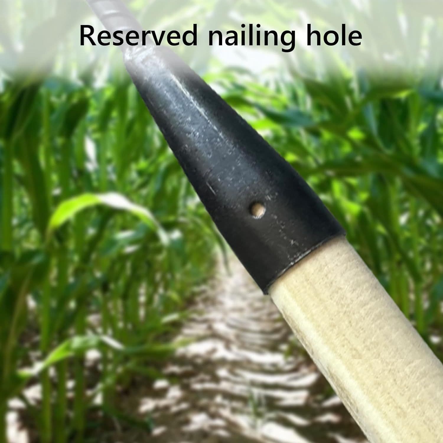 image-2 PCS Carbon Garden Hand Rake Tool Metal Heavy Duty Weeding Rake Iron Hoe Rake For Backyard Gardening Weeding Loosening Farm Planting - 4 And 6 Tines
