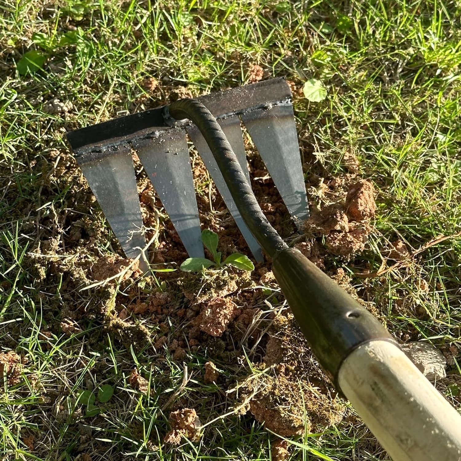 image-2 PCS Carbon Garden Hand Rake Tool Metal Heavy Duty Weeding Rake Iron Hoe Rake For Backyard Gardening Weeding Loosening Farm Planting - 4 And 6 Tines