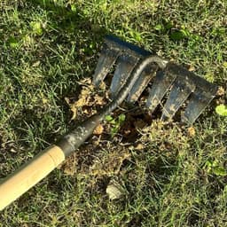 image-2 PCS Carbon Garden Hand Rake Tool Metal Heavy Duty Weeding Rake Iron Hoe Rake For Backyard Gardening Weeding Loosening Farm Planting - 4 And 6 Tines