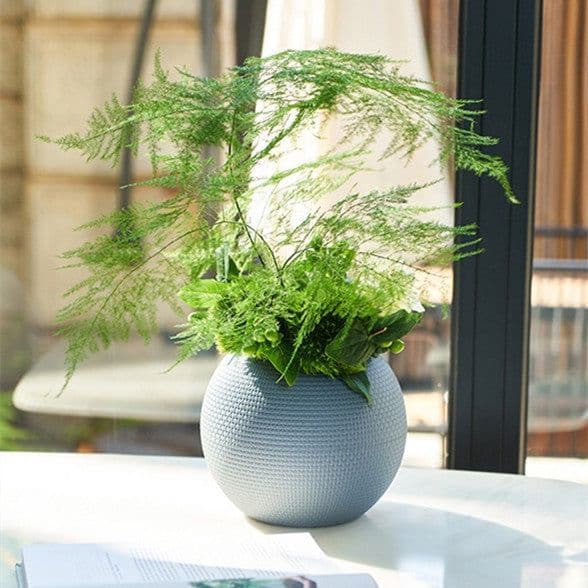 image-Rattan-like Self-absorbent Succulent Pot Planting Resin Flowerpot