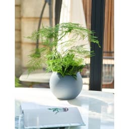 image-Rattan-like Self-absorbent Succulent Pot Planting Resin Flowerpot