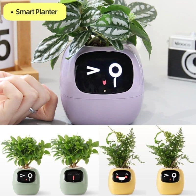 image-Smart Planter Endless Fun Over 49 Rich Expressions 7 Smart Sensors And AI Chips Make Raising Plants Easy And Fun