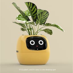 image-Smart Planter Endless Fun Over 49 Rich Expressions 7 Smart Sensors And AI Chips Make Raising Plants Easy And Fun
