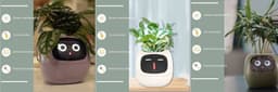 image-Smart Planter Endless Fun Over 49 Rich Expressions 7 Smart Sensors And AI Chips Make Raising Plants Easy And Fun