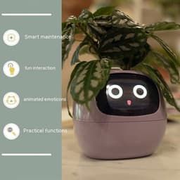 image-Smart Planter Endless Fun Over 49 Rich Expressions 7 Smart Sensors And AI Chips Make Raising Plants Easy And Fun