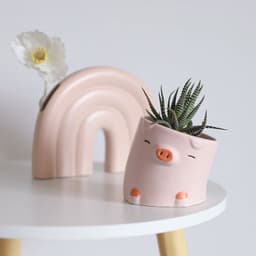 image-Creative Cartoon Animal Succulent Plant Small Flower Pot