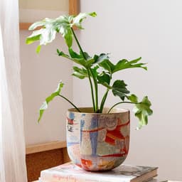 image-Matisse Ceramic Flower Pot Medium Art Flower Pot Succulent Plant Orchid Green Radish Pot