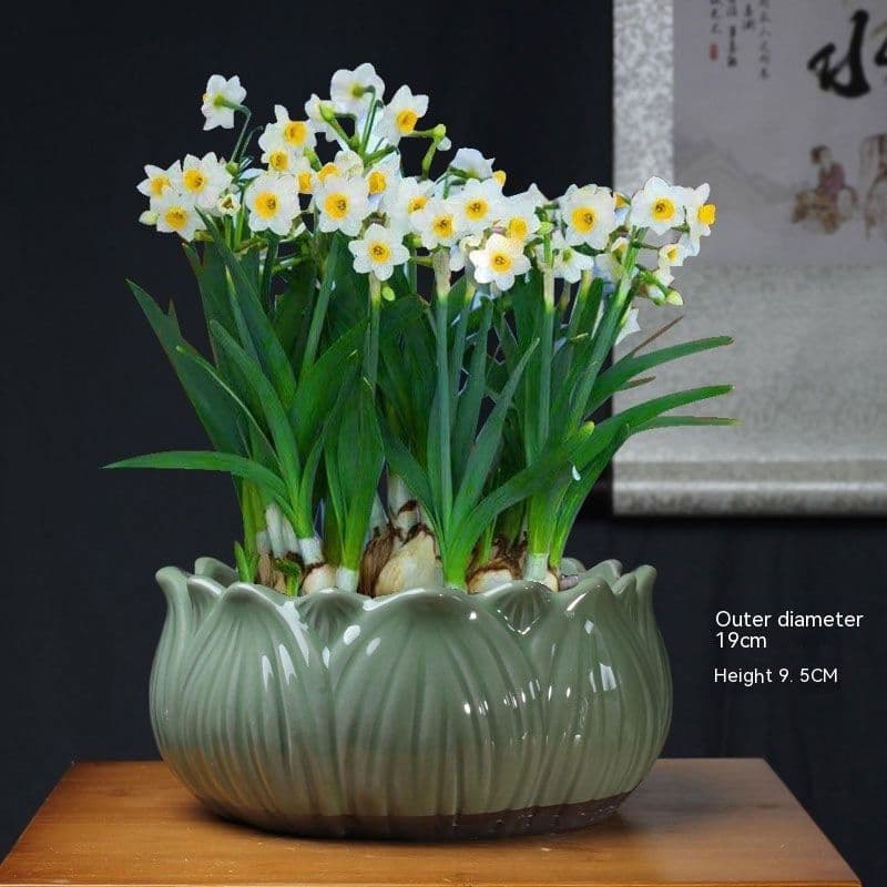 image-Non-porous Hydroponic Flowerpot Narcissus Hydrocotyle Household
