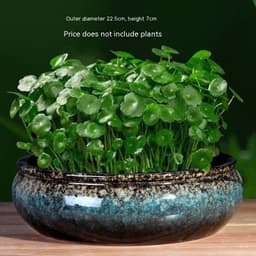 image-Non-porous Hydroponic Flowerpot Narcissus Hydrocotyle Household