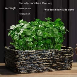 image-Non-porous Hydroponic Flowerpot Narcissus Hydrocotyle Household