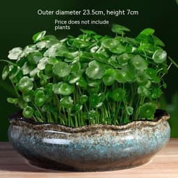 image-Non-porous Hydroponic Flowerpot Narcissus Hydrocotyle Household