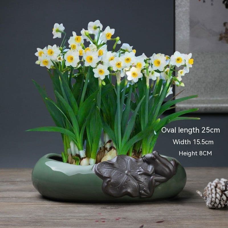 image-Non-porous Hydroponic Flowerpot Narcissus Hydrocotyle Household