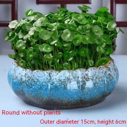 image-Non-porous Hydroponic Flowerpot Narcissus Hydrocotyle Household