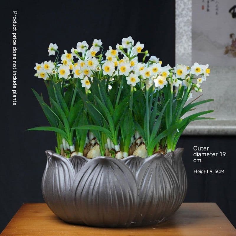 image-Non-porous Hydroponic Flowerpot Narcissus Hydrocotyle Household