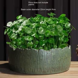 image-Non-porous Hydroponic Flowerpot Narcissus Hydrocotyle Household