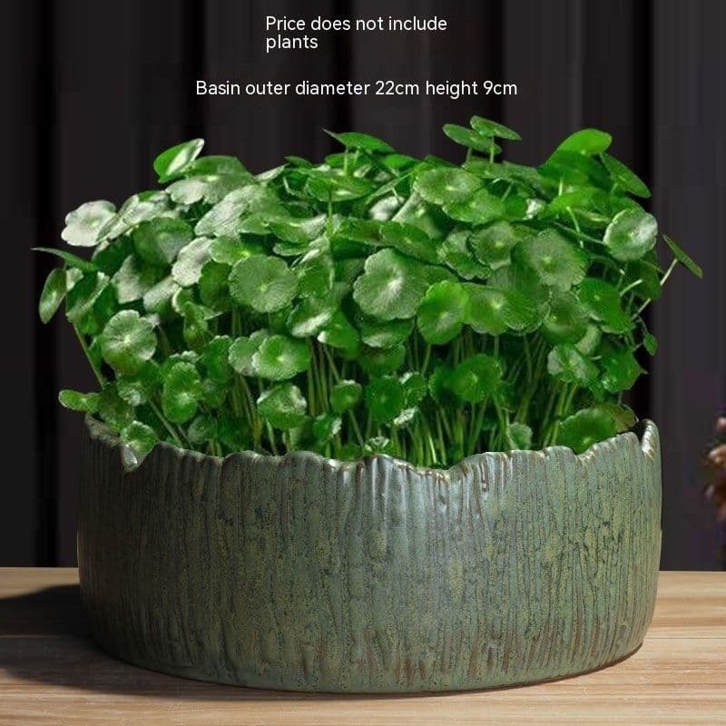 image-Non-porous Hydroponic Flowerpot Narcissus Hydrocotyle Household
