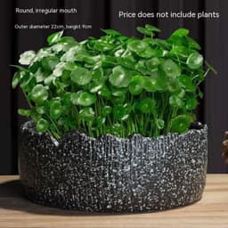 image-Non-porous Hydroponic Flowerpot Narcissus Hydrocotyle Household