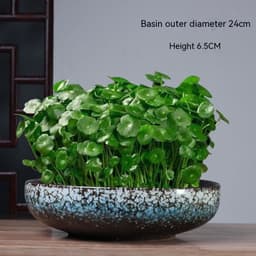 image-Non-porous Hydroponic Flowerpot Narcissus Hydrocotyle Household
