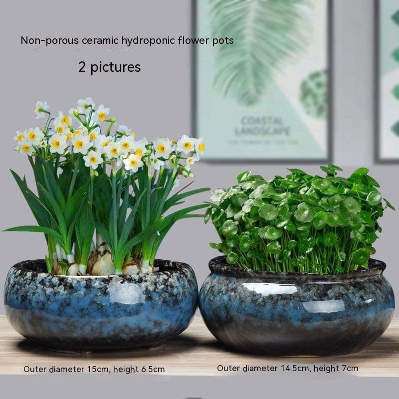 image-Non-porous Hydroponic Flowerpot Narcissus Hydrocotyle Household