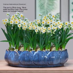 image-Non-porous Hydroponic Flowerpot Narcissus Hydrocotyle Household