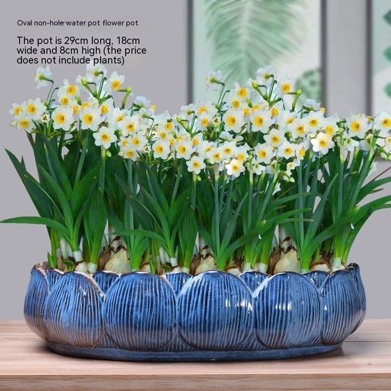 image-Non-porous Hydroponic Flowerpot Narcissus Hydrocotyle Household