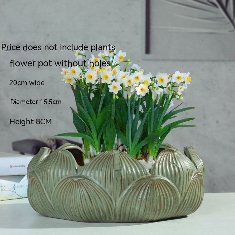 image-Non-porous Hydroponic Flowerpot Narcissus Hydrocotyle Household