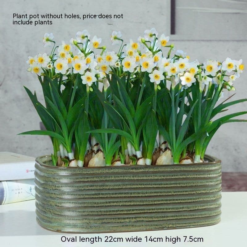 image-Non-porous Hydroponic Flowerpot Narcissus Hydrocotyle Household