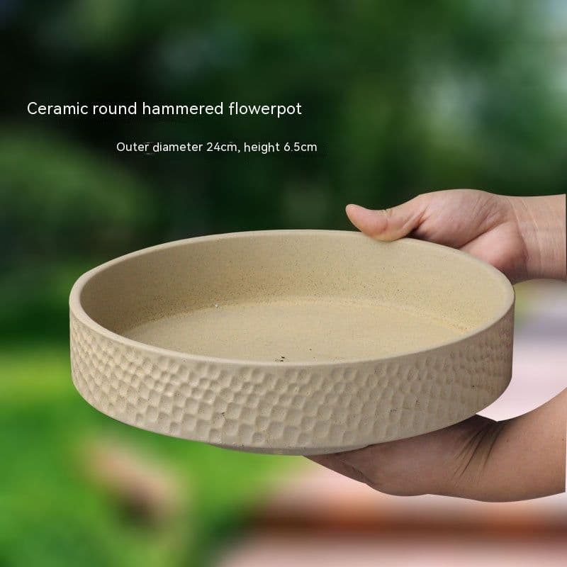 image-Non-porous Hydroponic Flowerpot Narcissus Hydrocotyle Household