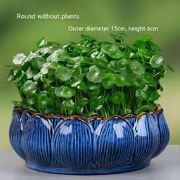 image-Non-porous Hydroponic Flowerpot Narcissus Hydrocotyle Household
