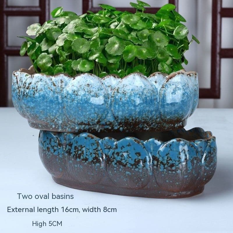 image-Non-porous Hydroponic Flowerpot Narcissus Hydrocotyle Household